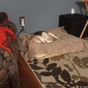 Meet your Posher, Joan